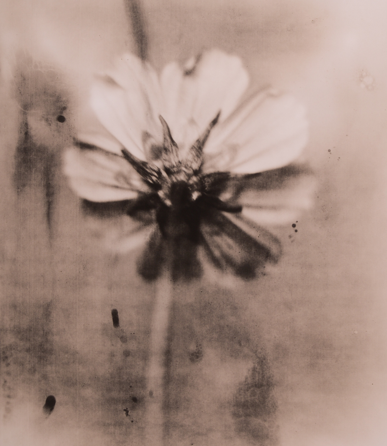 z cyklu bez tytułu, nr neg. 1046/18